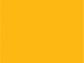 23.Golden Yellow