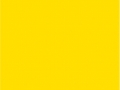 24.Sunflower