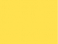 25.No Yolk