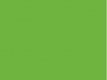 29.Shamrock
