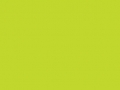30.Limelight