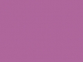 42.Mulberry