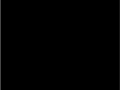 53.Black