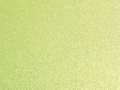 55.YellowMetallic