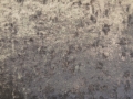 Fossil