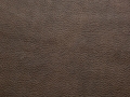 SADDLE_CHOCOLATE