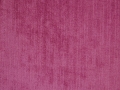Fuchsia-69699AZZ20