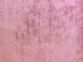 Lavender-89635AZZ22