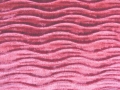 Blush-53365FANT104