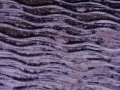 Violet-81570FANT107