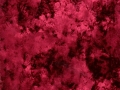 Carmine