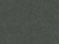 Grey Moss