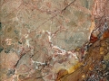 Brecca Pernice