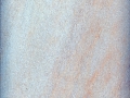 Rosa Salmon Peach