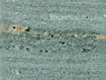 Verde Viana
