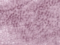 F6272-01