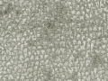 F6272-06