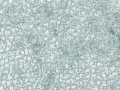 F6272-08