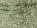 F6273-07