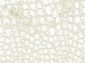 F6270-03