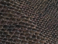 Melan - F6321133