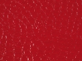 Fire - F5070978