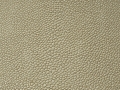 Beige - F5076037