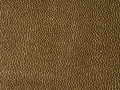 Brown - F5076039