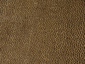 Chestnut-Mocca - F5076040