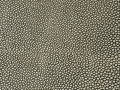 Choco-Cream - F5076034