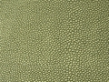 Green - F5076042