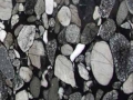Black Mosaic