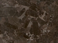Brown Granite Antique Brown Satin