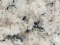 Delicatus White